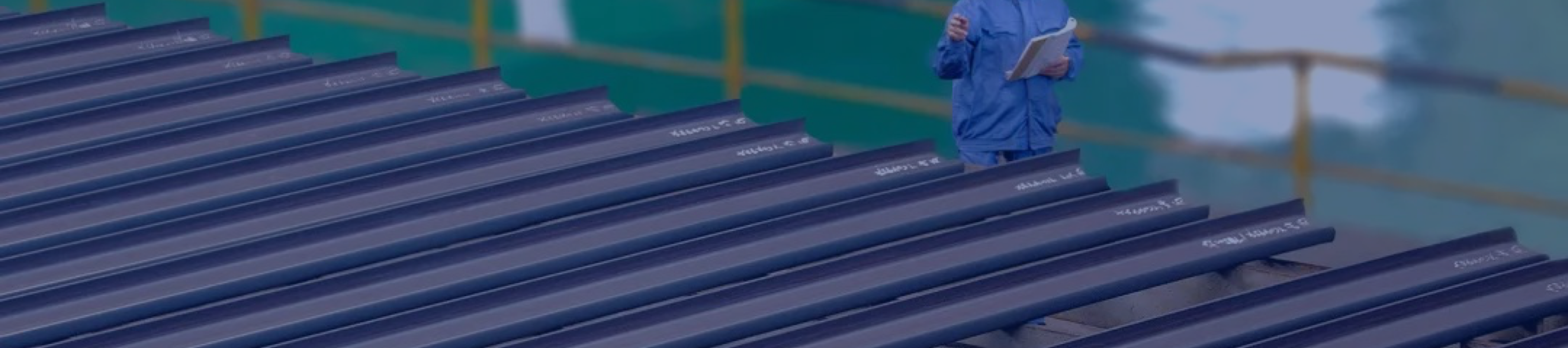 mg不朽情缘(中国)官方网站