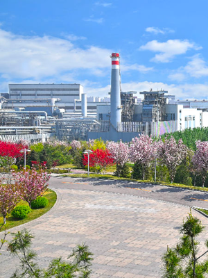 mg不朽情缘(中国)官方网站